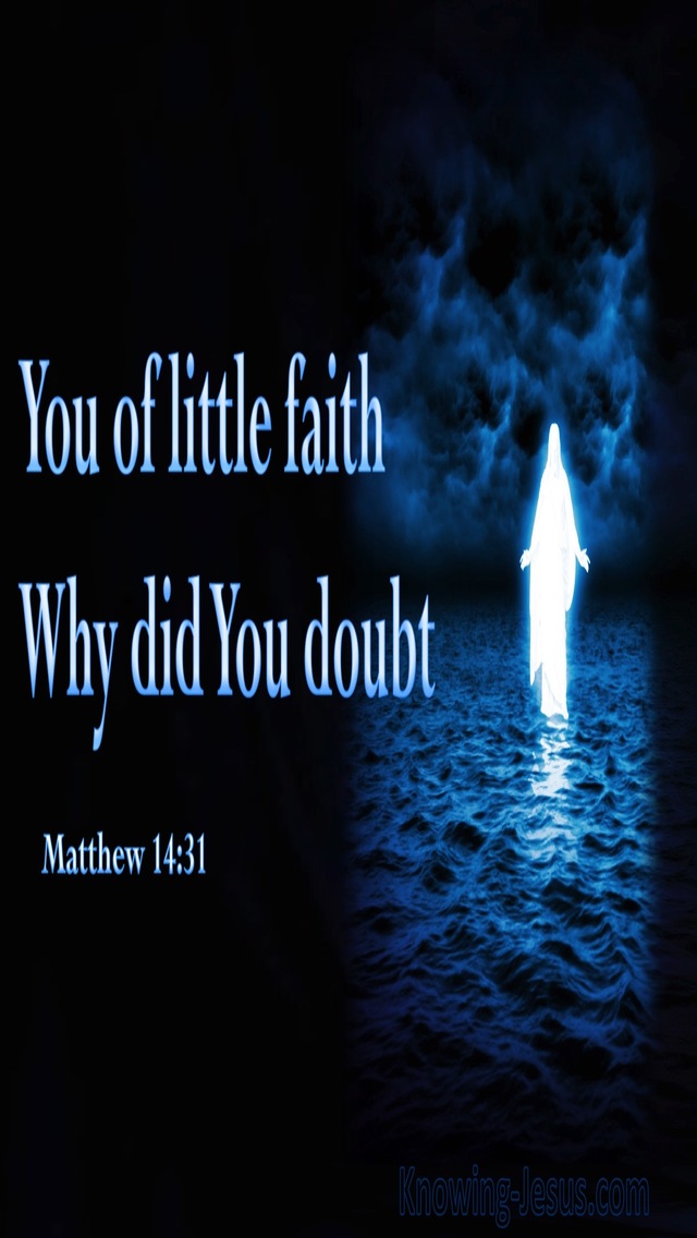 Matthew 14:31 Your Of Little Faith Why Did You Doubt (blue)